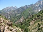 Uzbekistan mountain hiking through Gulkam canyon in Ugam-Chatkal national park  