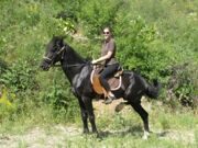 Horse riding tour upstream Chatkal river in Uzbekistan