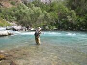 Uzbekistan rainbow trout fishing in Kok-su river