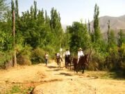 Uzbekistan horse riding in Ugam-Chatkal national park  mountain Patandazboshi