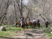 Uzbekistan horse riding  and tulips watching through Paltau valley in Ugam-Chatkal national park