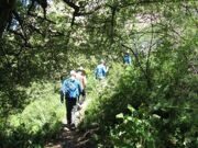 Uzbekistan mountain hiking through Gulkam canyon in Ugam-Chatkal national park  