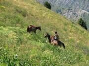 Uzbekisran  Mt.Patandazboshi horse riding in Ugam-Chatkal national park