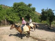 Uzbekistan  mountain horse riding to Pulatkhan plateau in Ugam-Chatkal national park